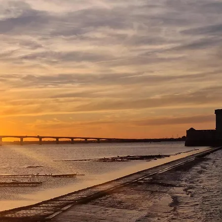 Pet Friendly In Saint-georges-de-didon * Saint-Georges-de-Didonne