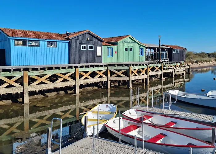 Apartment Pet Friendly In Saint-georges-de-didon *