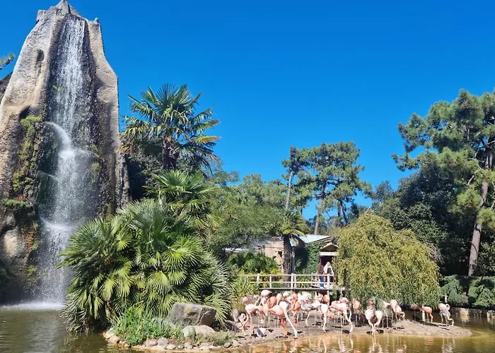 Pet Friendly In Saint-georges-de-didon Saint-Georges-de-Didonne